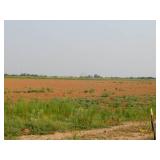 144 acres farmland