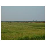 133 acres more or less