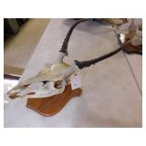 EUROPEAN STYLE DEER MOUNT EUROPEAN STYLE DEER MOUNT