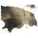 LARGER PELT SPECIES UNKNOWN LARGER PELT SPECIES UNKNOWN
