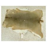 DEER HIDE DEER HIDE