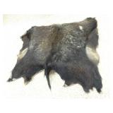 BOAR HIDE