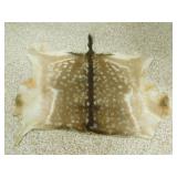 AXIS DEER HIDE AXIS DEER HIDE