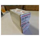 .223 REMINGTON 40 ROUNDS (WINCHESTER) .223 REMINGTON 40 ROUNDS (WINCHESTER)