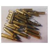 .223 AMMO (25 ROUNDS)