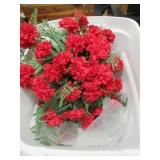 Tub of Cemetery Flowers