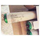 Fluorescent  Bulbs (15)