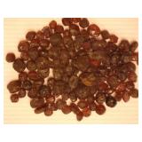 Almandine Garnet; Ruby River Reservoir; Montana