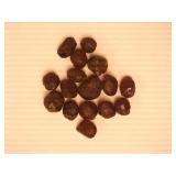 Garnets; Ruby River Reservoir; Montana; 6.4 grams