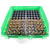 AMMO-RELOADS - 22-250  (50 ROUNDS)
