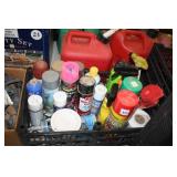 Wasp Spray, Paint, MISC