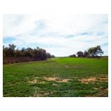 128± ACRES * CROPLAND * TIMBER * HUNTING * HWY