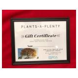 Save the planet, plant a tree! *Unique gift idea