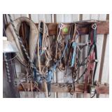 HALTERS, BRIDLES
