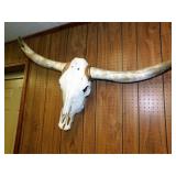 SKULL W/HORNS EUROPEAN STYLE