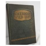 1944 American Wild Life Illustrated Book
