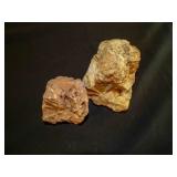 2ï¿½ lb Petrified Wood