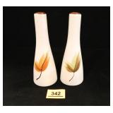 Salt & Pepper Set; Made in Japan; w/leaf design