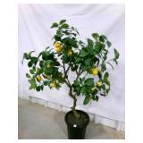 51" Fake Lemon Tree in pot