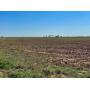 6/5 DELLA JUNE ASHBY TRUST Land Auction