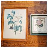 2 Glass Framed Botanicals Flowers wood Frames