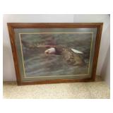 43" X 31" Matted, Framed Bald Eagle in Flight