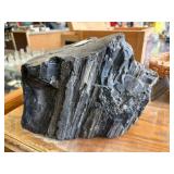 PETRIFIED WOOD Dï¿½COR