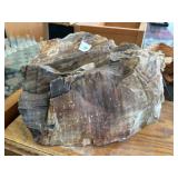 PETRIFIED WOOD Dï¿½COR