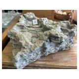 PETRIFIED WOOD Dï¿½COR