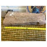 21" PETRIFIED WOOD