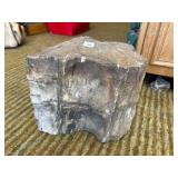 PETRIFIED WOOD Dï¿½COR