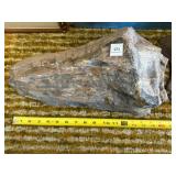 15" PETRIFIED WOOD