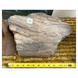 12" PETRIFIED WOOD