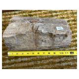 11" PETRIFIED WOOD