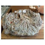 PETRIFIED WOOD Dï¿½COR