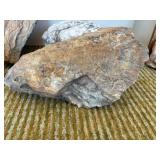 PETRIFIED WOOD Dï¿½COR