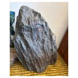 LARGE PETRIFIED WOOD Dï¿½COR