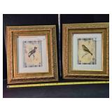 2 Mixed Media matted bird illustrations