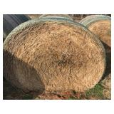 2019 hay grazer - round bales net wrapped.