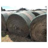 2019 hay grazer - round bales net wrapped.
