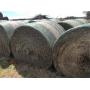 2019 wheat hay - round bales net wrapped.