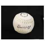 Dudley Sports Official Softball; Day/Night