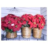 Silk Poinsettias (3) in baskets
