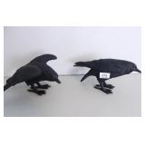 Black Crows Décor (2)