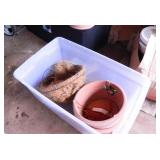 Planters/Hanging Baskets Various sizes