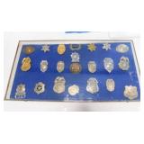 Badge Collection