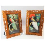 Bird Feathercraft Pictures (2)