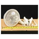 Holmes Electric Fan w/Clip; Powers Up