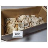 Seashells - partially full shoebox