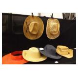 Hat Collection, Western Straw Hat, Sun Hats